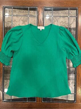 Periwinkle Green Puff Sleeve V-Neck Top XS